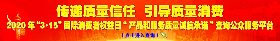 2020年“3.15”國際消費者權(quán)益日“產(chǎn)品和服務質(zhì)量誠信承諾”查詢公眾平臺